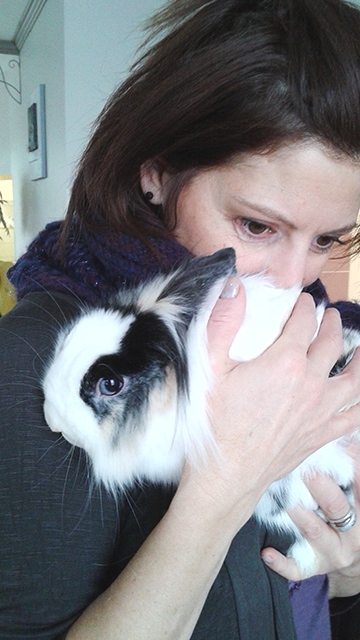 lapin-virginie-calin